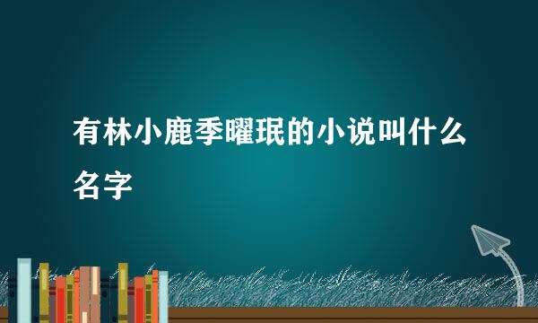 有林小鹿季曜珉的小说叫什么名字