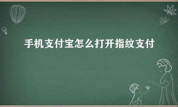 手机支付宝怎么打开指纹支付