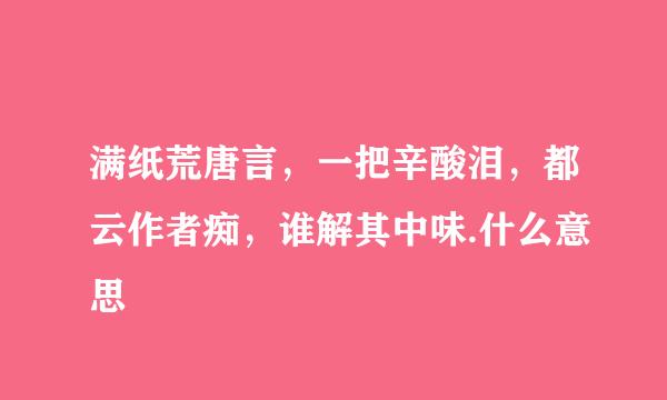 满纸荒唐言，一把辛酸泪，都云作者痴，谁解其中味.什么意思