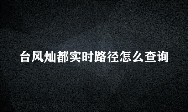 台风灿都实时路径怎么查询