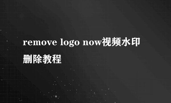 remove logo now视频水印删除教程