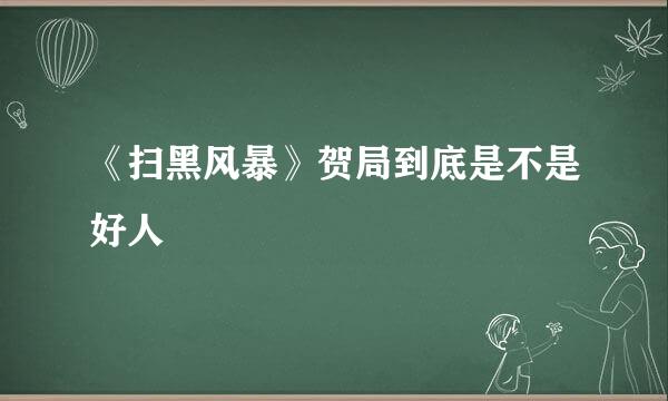 《扫黑风暴》贺局到底是不是好人