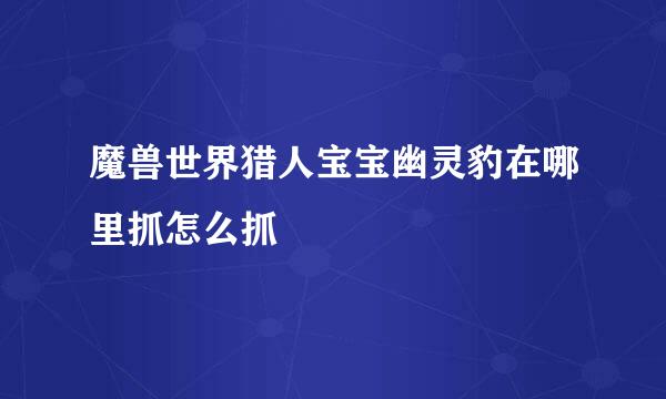 魔兽世界猎人宝宝幽灵豹在哪里抓怎么抓