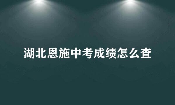 湖北恩施中考成绩怎么查