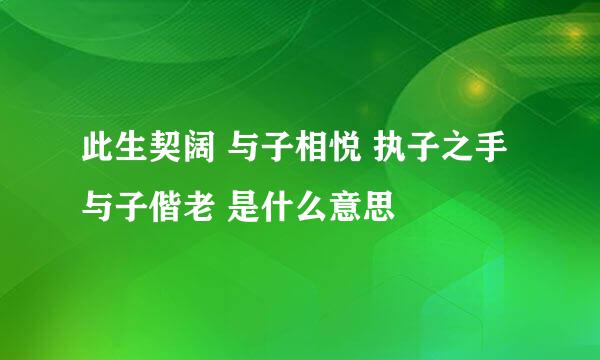 此生契阔 与子相悦 执子之手 与子偕老 是什么意思