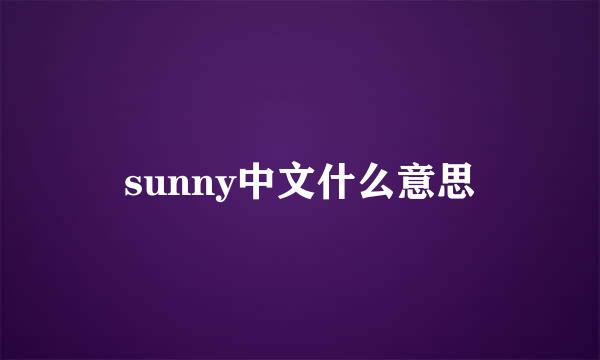 sunny中文什么意思