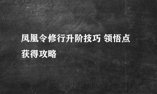 凤凰令修行升阶技巧 领悟点获得攻略