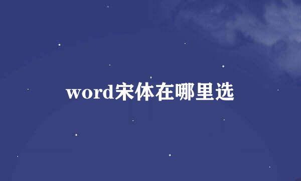 word宋体在哪里选