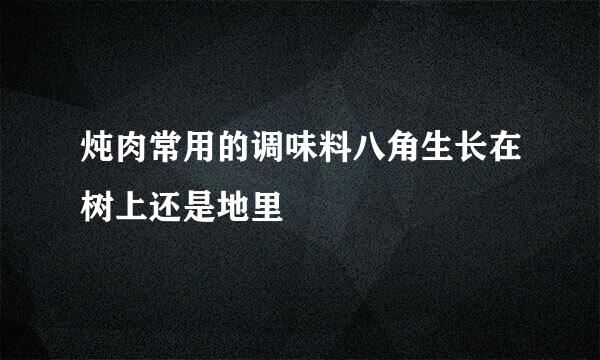 炖肉常用的调味料八角生长在树上还是地里