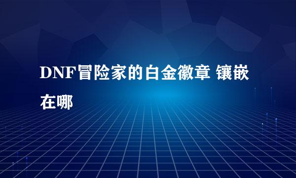 DNF冒险家的白金徽章 镶嵌在哪