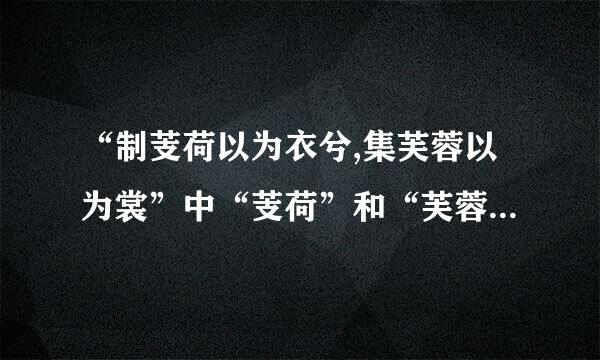 “制芰荷以为衣兮,集芙蓉以为裳”中“芰荷”和“芙蓉”指的是什么