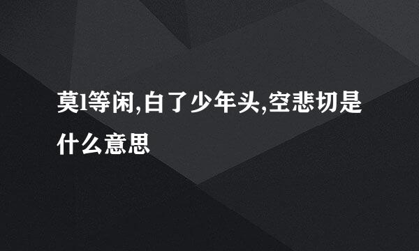 莫l等闲,白了少年头,空悲切是什么意思