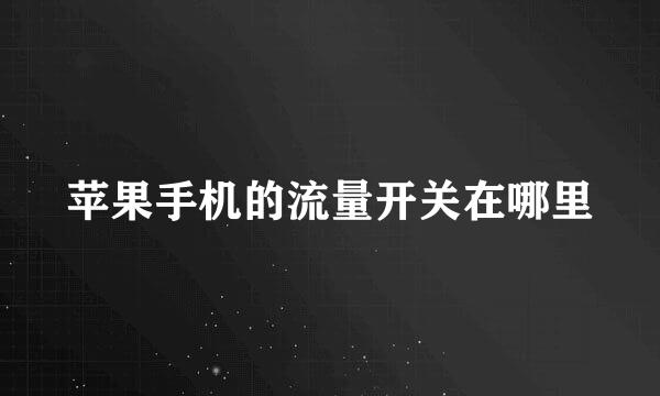 苹果手机的流量开关在哪里