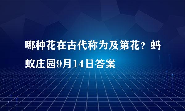 哪种花在古代称为及第花？蚂蚁庄园9月14日答案