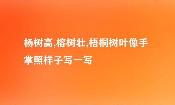 杨树高,榕树壮,梧桐树叶像手掌照样子写一写