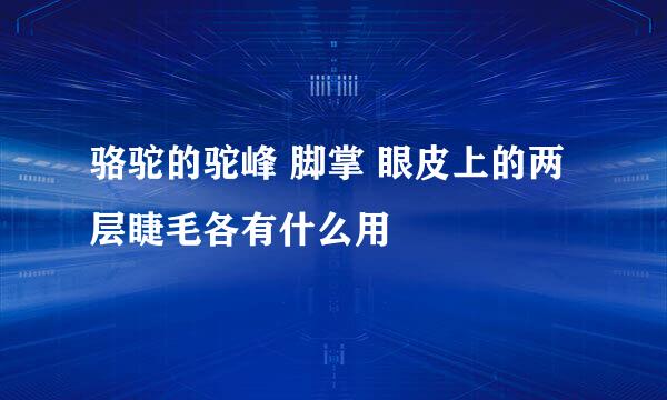 骆驼的驼峰 脚掌 眼皮上的两层睫毛各有什么用