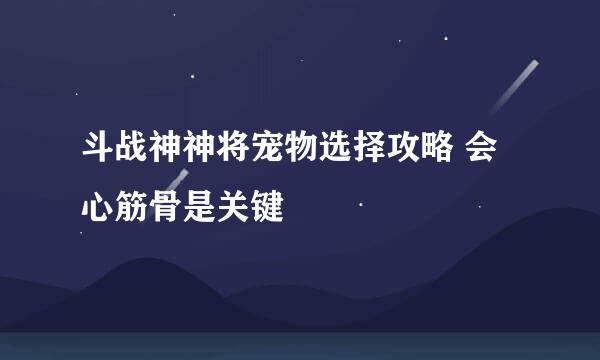 斗战神神将宠物选择攻略 会心筋骨是关键