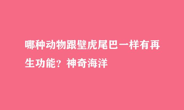 哪种动物跟壁虎尾巴一样有再生功能？神奇海洋