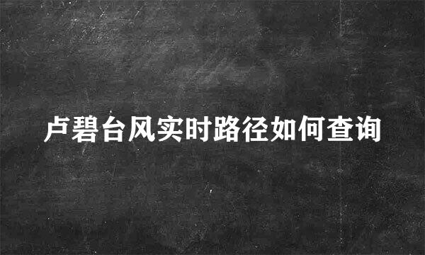 卢碧台风实时路径如何查询