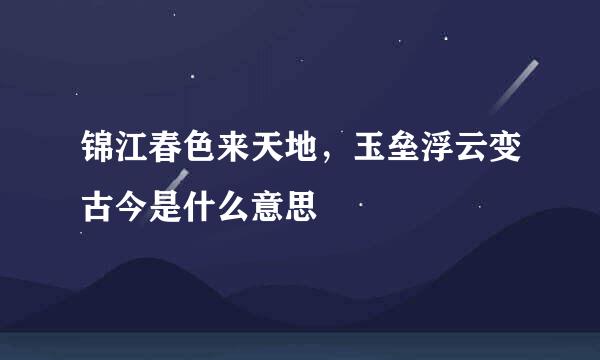 锦江春色来天地，玉垒浮云变古今是什么意思