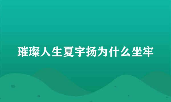 璀璨人生夏宇扬为什么坐牢