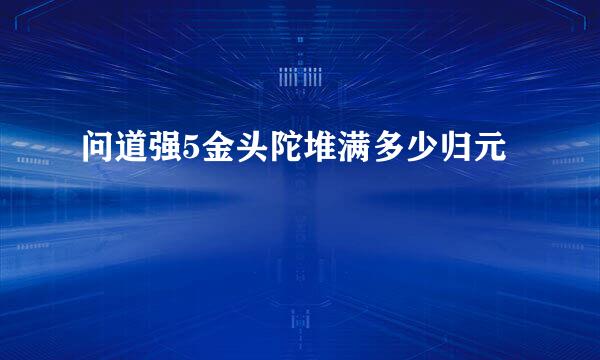 问道强5金头陀堆满多少归元