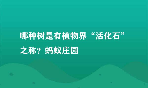 哪种树是有植物界“活化石”之称？蚂蚁庄园