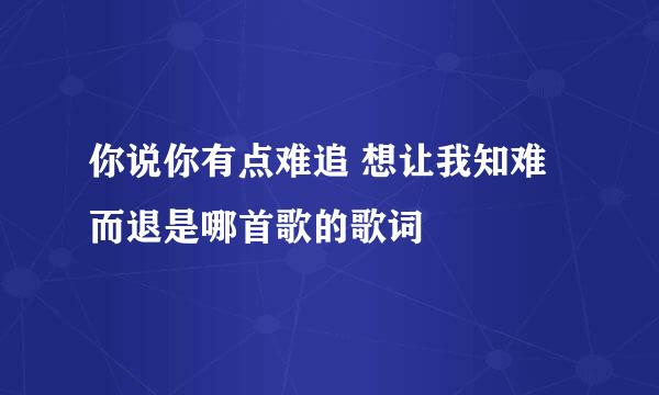 你说你有点难追 想让我知难而退是哪首歌的歌词