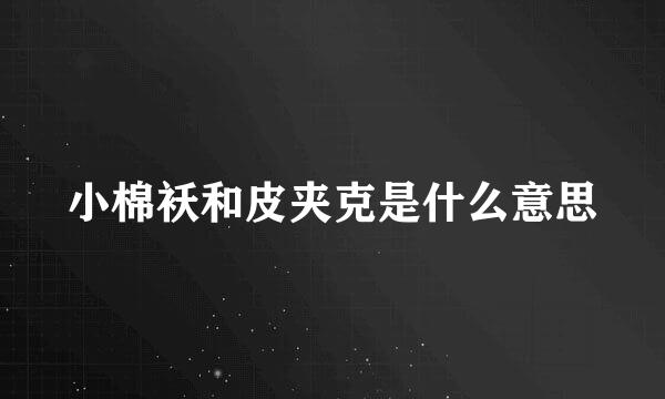 小棉袄和皮夹克是什么意思