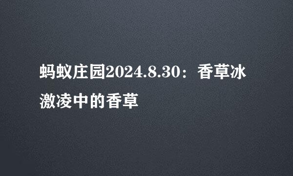 蚂蚁庄园2024.8.30：香草冰激凌中的香草