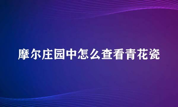 摩尔庄园中怎么查看青花瓷