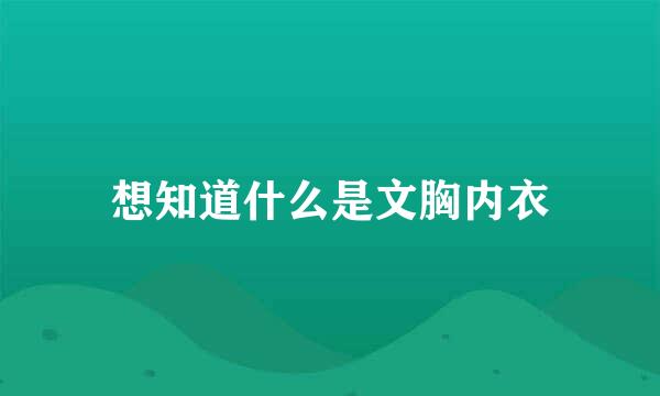 想知道什么是文胸内衣