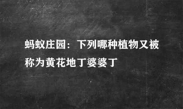 蚂蚁庄园：下列哪种植物又被称为黄花地丁婆婆丁