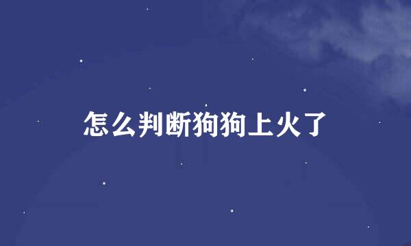 怎么判断狗狗上火了