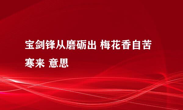 宝剑锋从磨砺出 梅花香自苦寒来 意思