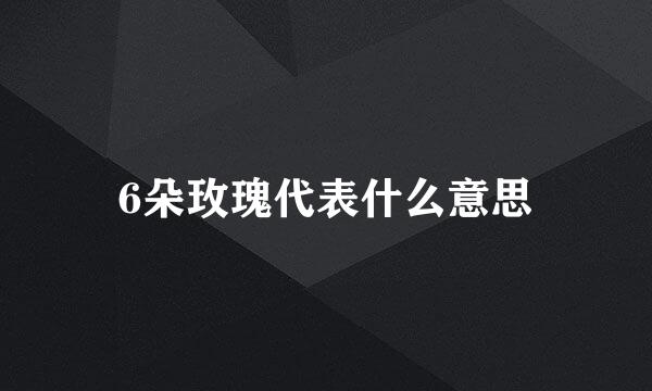 6朵玫瑰代表什么意思