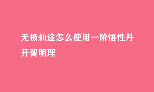 无极仙途怎么使用一阶悟性丹开智明理