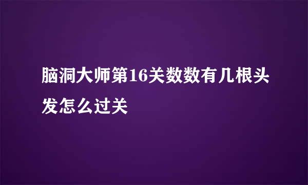 脑洞大师第16关数数有几根头发怎么过关