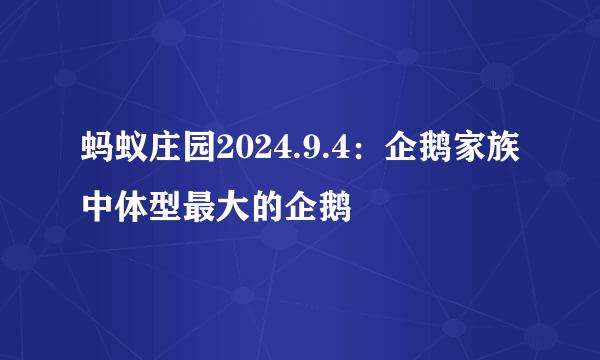 蚂蚁庄园2024.9.4：企鹅家族中体型最大的企鹅