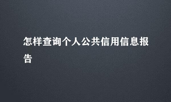 怎样查询个人公共信用信息报告