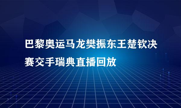 巴黎奥运马龙樊振东王楚钦决赛交手瑞典直播回放