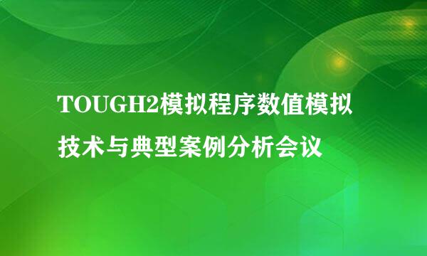 TOUGH2模拟程序数值模拟技术与典型案例分析会议