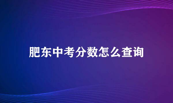 肥东中考分数怎么查询