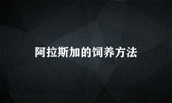 阿拉斯加的饲养方法