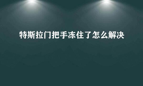 特斯拉门把手冻住了怎么解决