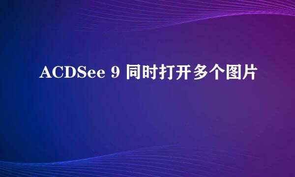 ACDSee 9 同时打开多个图片