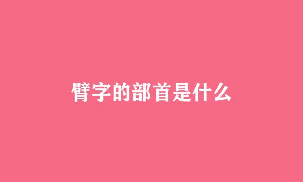 臂字的部首是什么