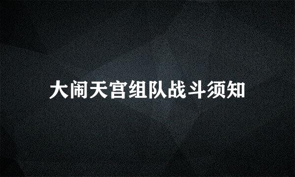 大闹天宫组队战斗须知