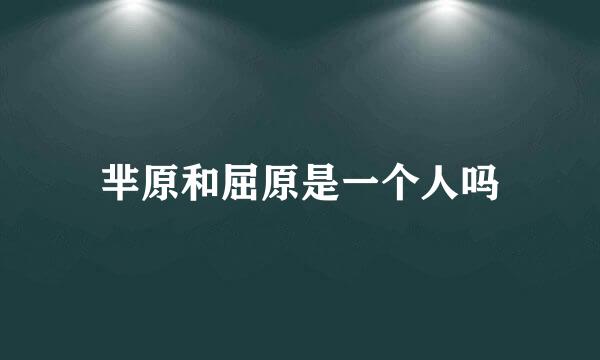 芈原和屈原是一个人吗