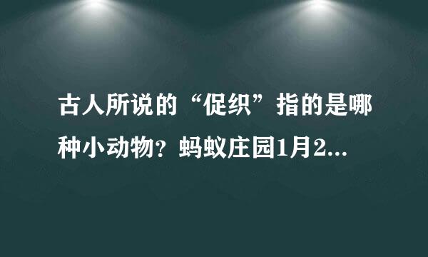 古人所说的“促织”指的是哪种小动物？蚂蚁庄园1月27日问题